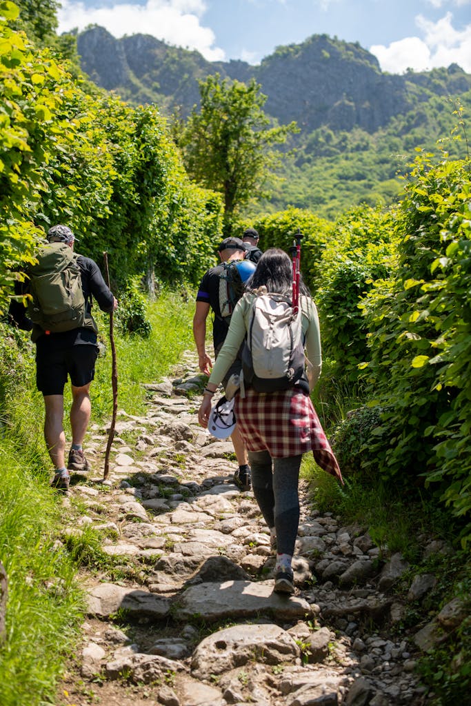 Group of people hiking through lush green trails for nature-based mental health benefits with ecotherapy in smoky mountains.